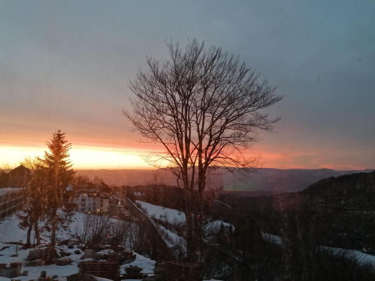 Ivkovic Spa Milmari N16 Kopaonik Kültér fotó